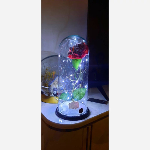 باکس گل رز یخی حالت زمستانی وبرفی طرح جدید