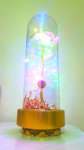 باکس هدیه گل رز شیشه ای چراغدار رنگبندی جور