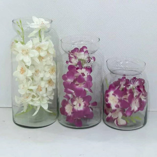 تنگ ماهی وگلدان مرجان سایز متوسط ارتفاع 21عرض 11